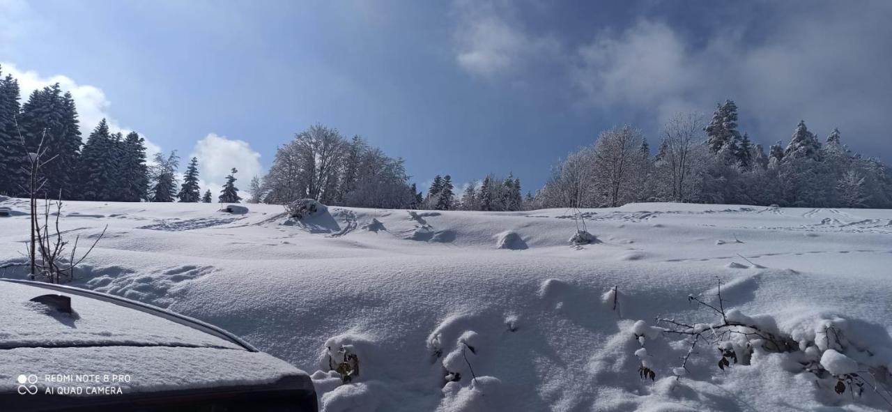 Chata Z Widokiem Na Babia Gore Pewel Wielka Exteriör bild