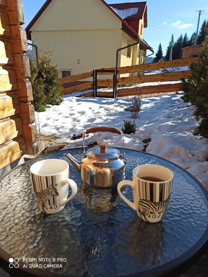 Chata Z Widokiem Na Babia Gore Pewel Wielka Exteriör bild